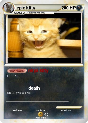 Pokemon epic kitty