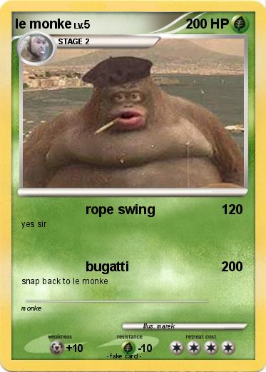 Pokemon le monke