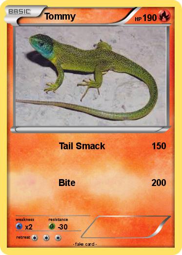 Pokemon Tommy