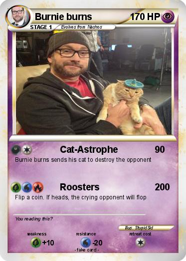 Pokemon Burnie burns