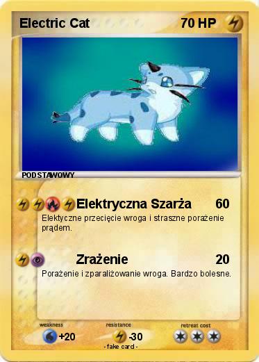 Pokemon Electric Cat