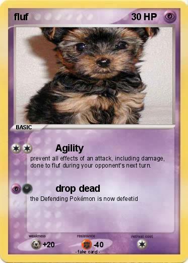 Pokemon fluf