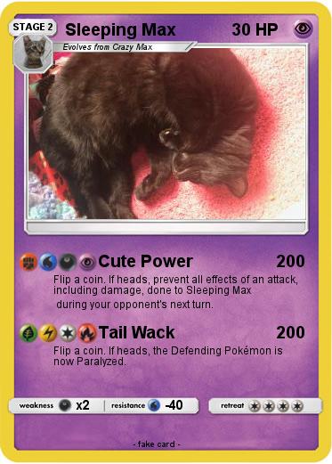 Pokemon Sleeping Max