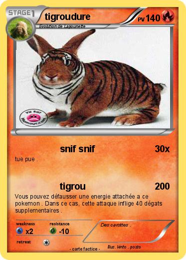 Pokemon tigroudure