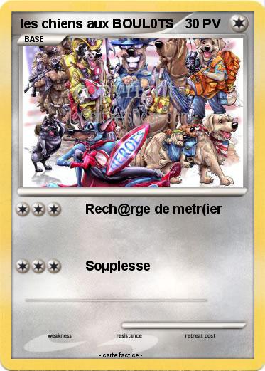 Pokemon les chiens aux BOUL0TS