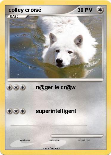 Pokemon colley croisé