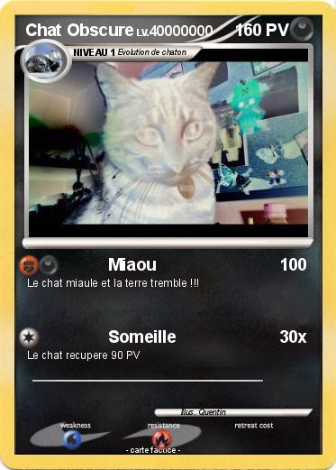 Pokemon Chat Obscure