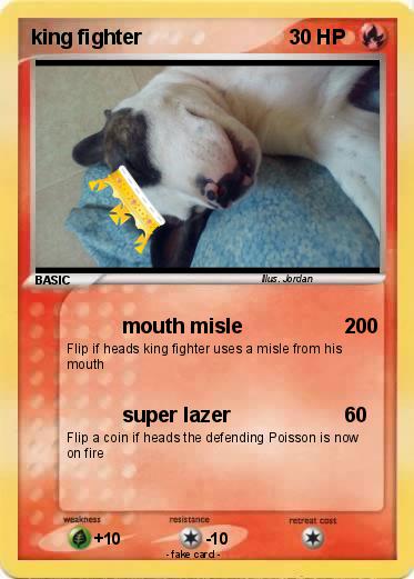 Pokemon king fighter