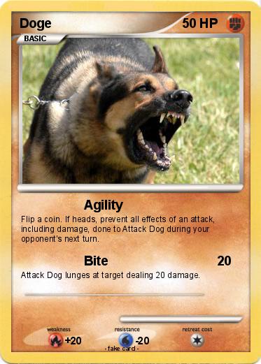 Pokemon Doge