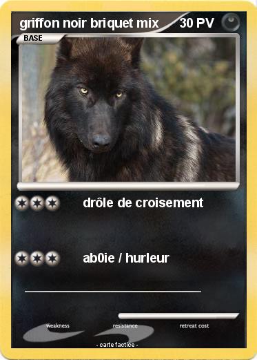 Pokemon griffon noir briquet mix