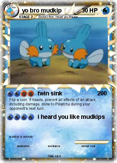 Pokemon yo bro mudkip