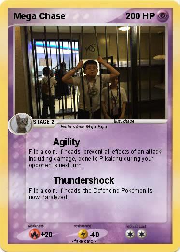 Pokemon Mega Chase