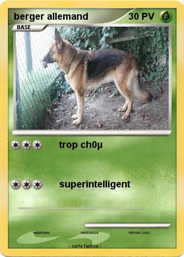 Pokemon berger allemand