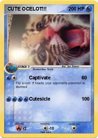 Pokemon CUTE OCELOT!!!