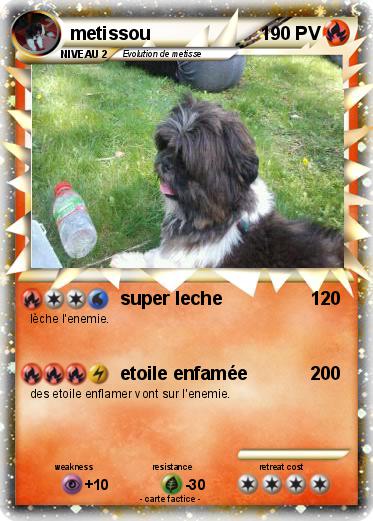 Pokemon metissou