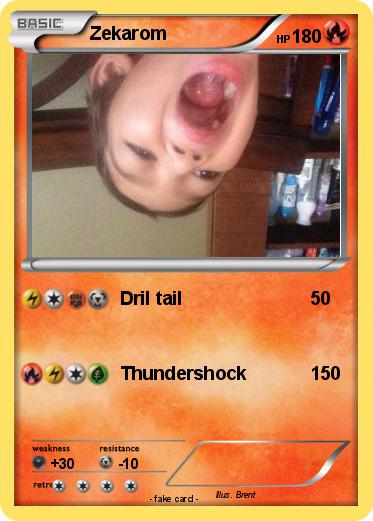 Pokemon Zekarom
