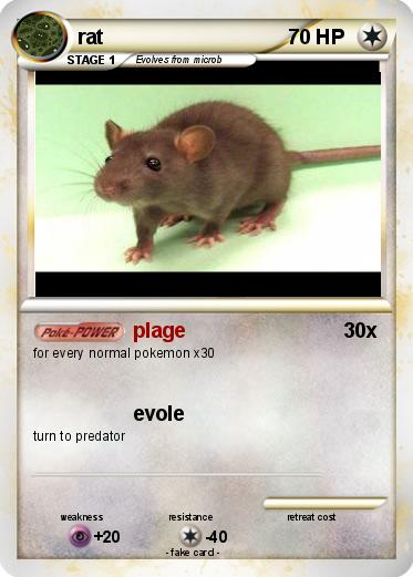 Pokemon rat