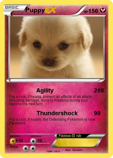 Pokemon Puppy