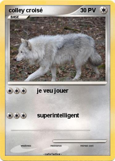 Pokemon colley croisé