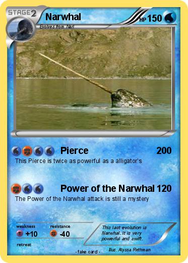 Pokemon Narwhal