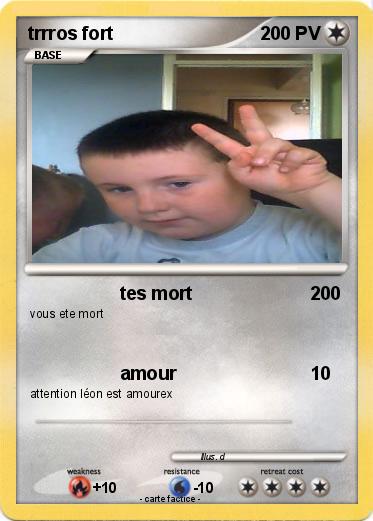 Pokemon trrros fort