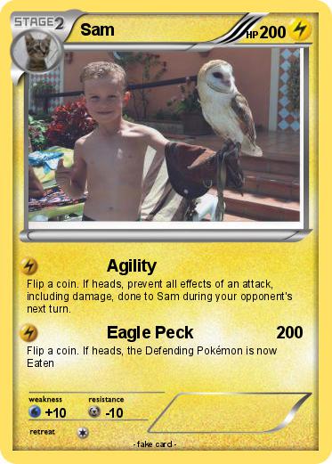 Pokemon Sam