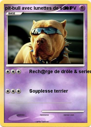 Pokemon pit-bull avec lunettes de soleil