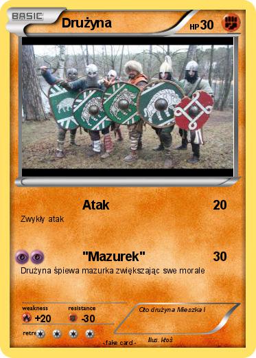 Pokemon Drużyna