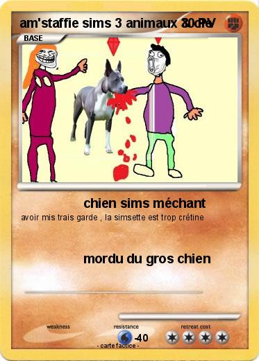 Pokemon am'staffie sims 3 animaux & cie