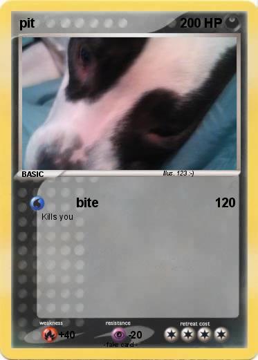 Pokemon pit