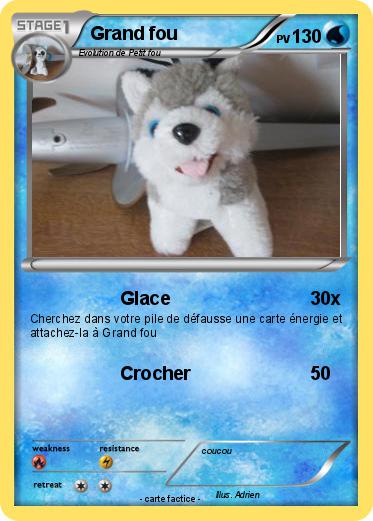Pokemon Grand fou