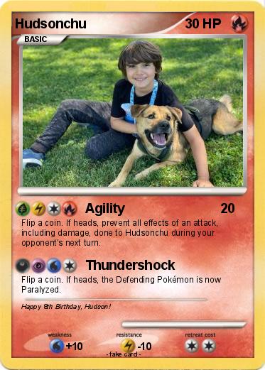 Pokemon Hudsonchu