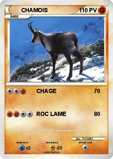 Pokemon CHAMOIS