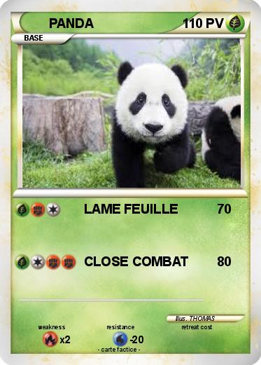 Pokemon PANDA