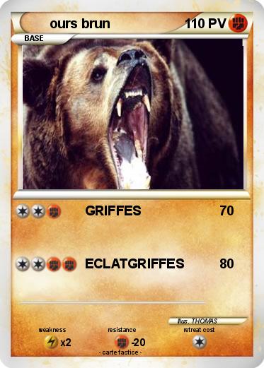 Pokemon ours brun