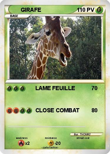 Pokemon GIRAFE