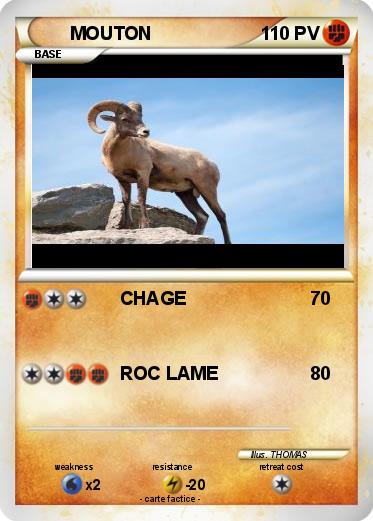Pokemon MOUTON