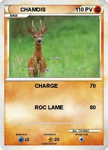 Pokemon CHAMOIS