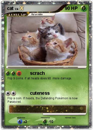 Pokemon cat