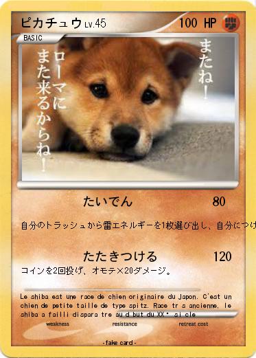 Pokemon ピカチュウ