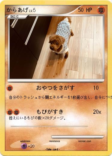 Pokemon からあげ