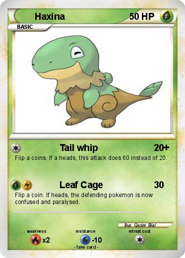 Pokemon Haxina