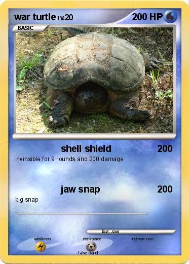 Pokemon war turtle
