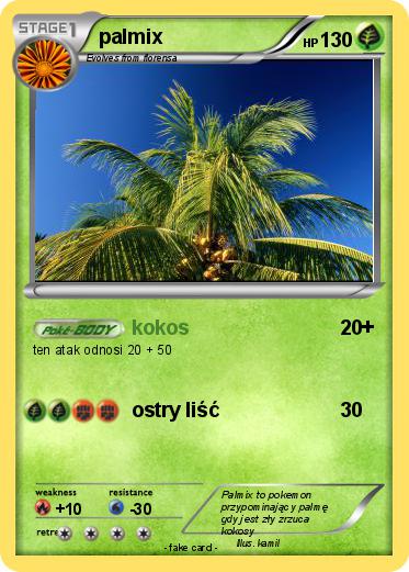 Pokemon palmix