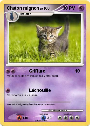 Pokemon Chaton mignon
