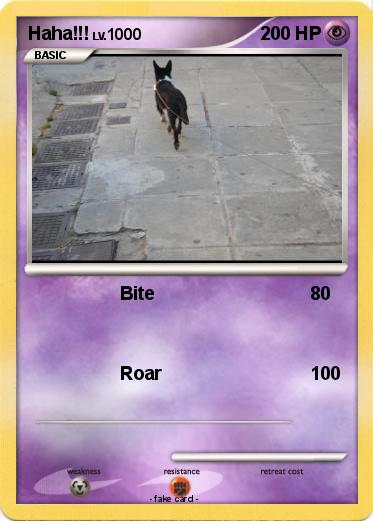 Pokemon Haha!!!