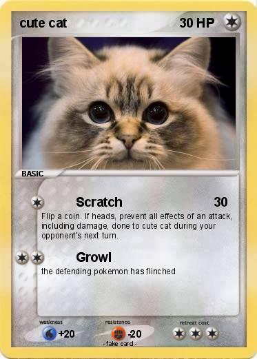 Pokemon cute cat
