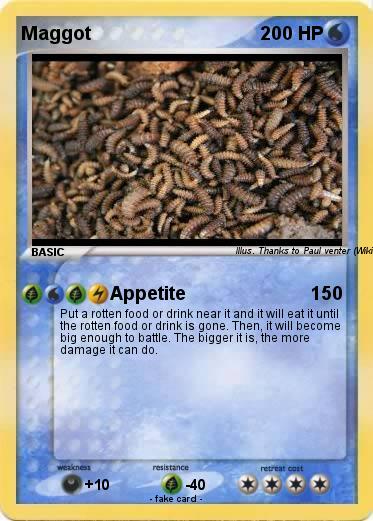 Pokemon Maggot