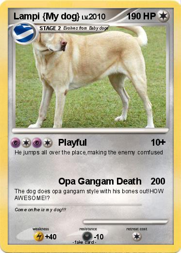 Pokemon Lampi {My dog}