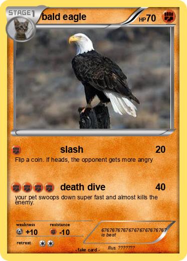 Pokemon bald eagle